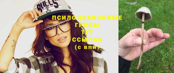 твердый Новый Уренгой