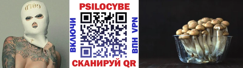 гидра рабочий сайт  Камышлов  Псилоцибиновые грибы Psilocybe 