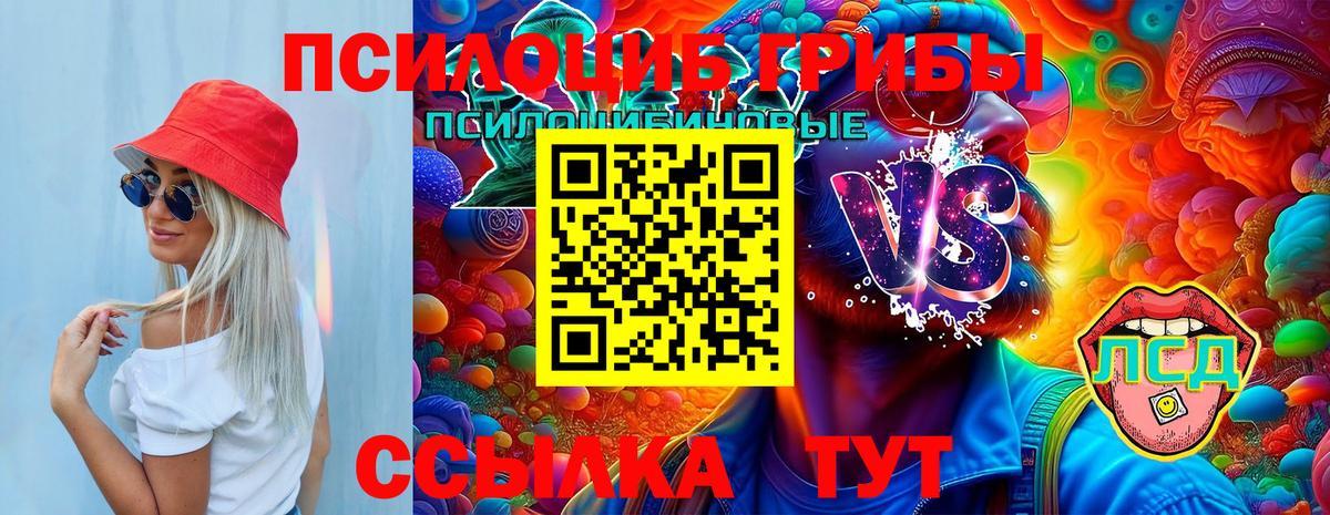 Камышлов  Галлюциногенные грибы мицелий  Вход с VPN 